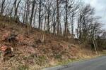 Grundstück Niederlauer Unterebersbach - 42.000&euro; | Angebot:25667688