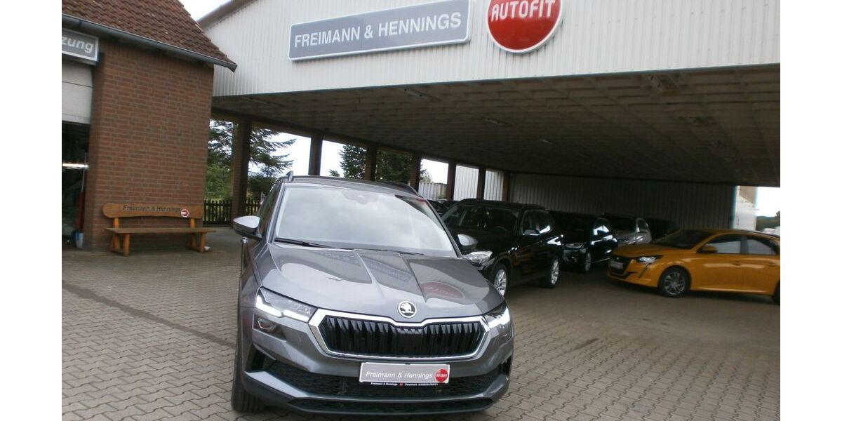 Skoda Karoq 1.800 km 34.490 &euro; Arendsee OT Fleetmark 39619