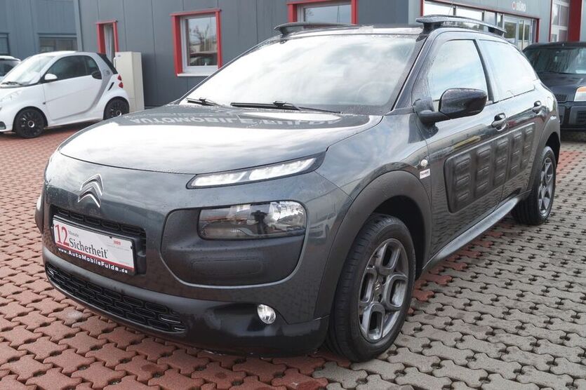 C4 Cactus