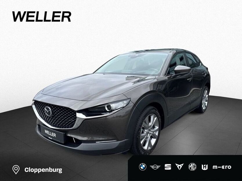 CX-30