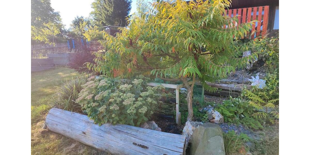 Grundstück Königsee - 8.000&euro; | Angebot:25627076