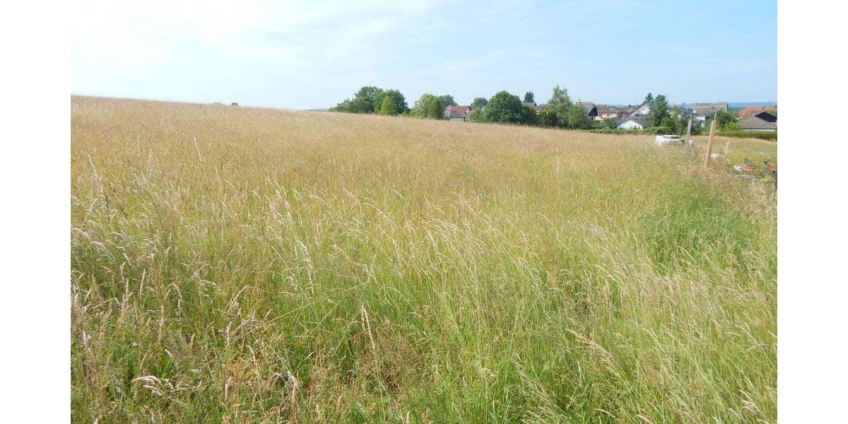 Einfamilienhaus Losheim am See Losheim - 7 Zimmer, 307 m&sup2;, 399.000&euro; | Angebot:25742863