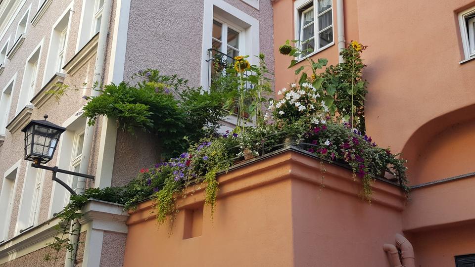 Etagenwohnung Wasserburg am Inn - 2 Zimmer, 61 m&sup2;, 850&euro; | Angebot:25397729