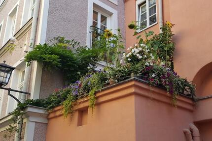 Wohnung Wasserburg am Inn - 2 Zimmer, 61 m&sup2;, 850&euro; | Angebot:25397729