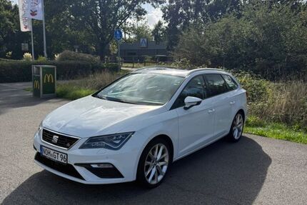Seat Leon 199.000 km 7.500 &euro; Neuenhaus 49828
