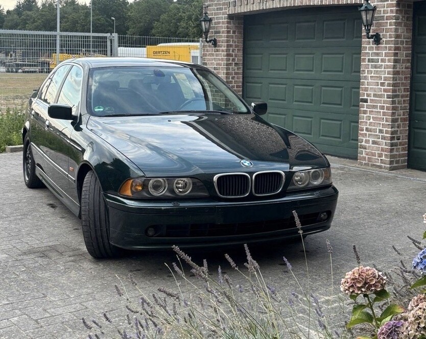 BMW 525 264.374 km 2.500 € Dörpen 26892