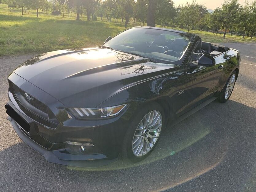 Mustang