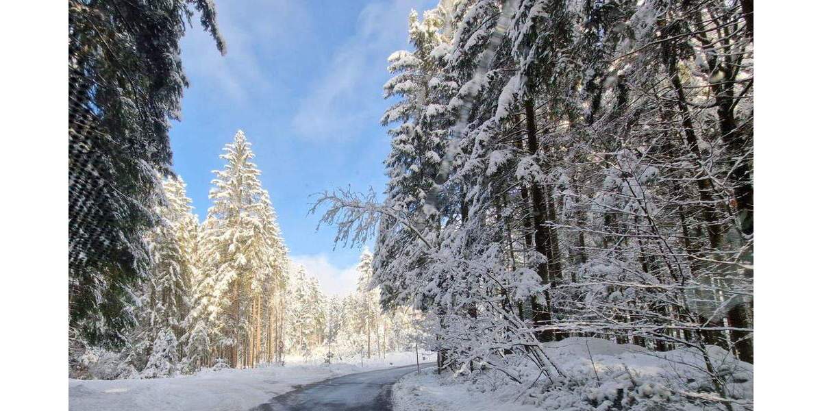 Einfamilienhaus Kirchberg im Wald / Raindorf Kirchberg - 1 Zimmer, 300 m&sup2;, 698.500&euro; | Angebot:25796770