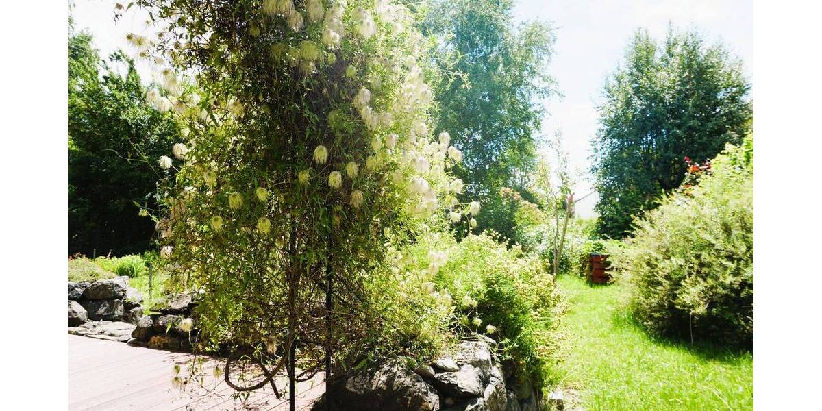 Reihenendhaus Isny im Allgäu Isny - 5 Zimmer, 136 m&sup2;, 426.000&euro; | Angebot:26695939