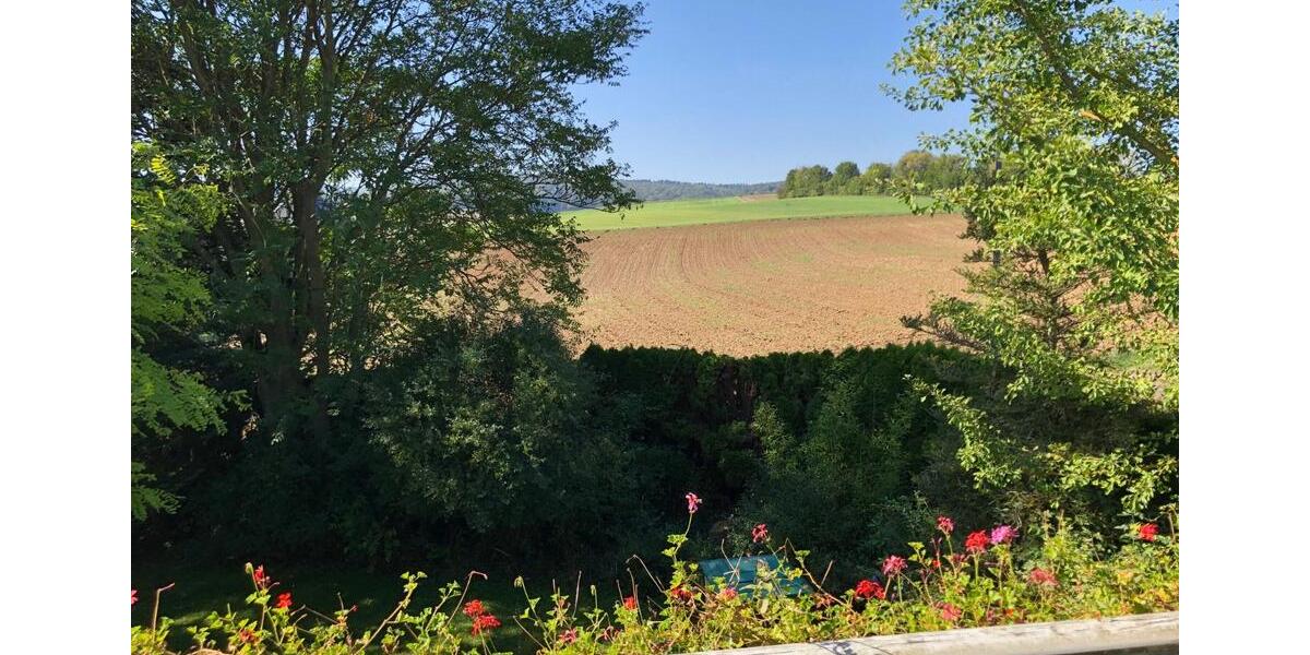 Einfamilienhaus Gückingen - 7 Zimmer, 226 m&sup2;, 529.000&euro; | Angebot:26821540