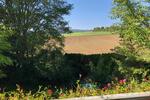 Einfamilienhaus Gückingen - 7 Zimmer, 226 m&sup2;, 529.000&euro; | Angebot:26821540