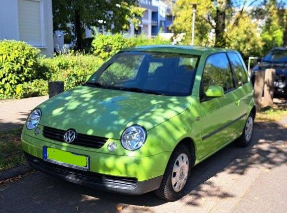 Lupo