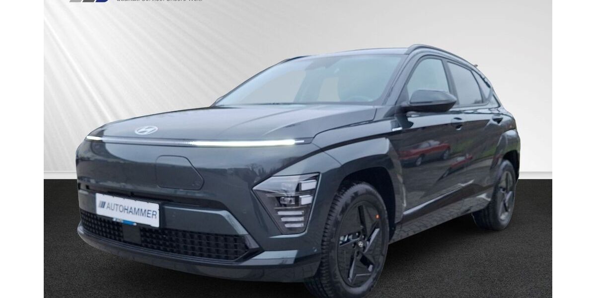 Hyundai KONA Elektro 11.310 km 33.980 &euro; Dresden / Radebeul 01445