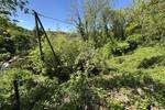 Grundstück Eppstein Vockenhausen - 150.000&euro; | Angebot:26451749