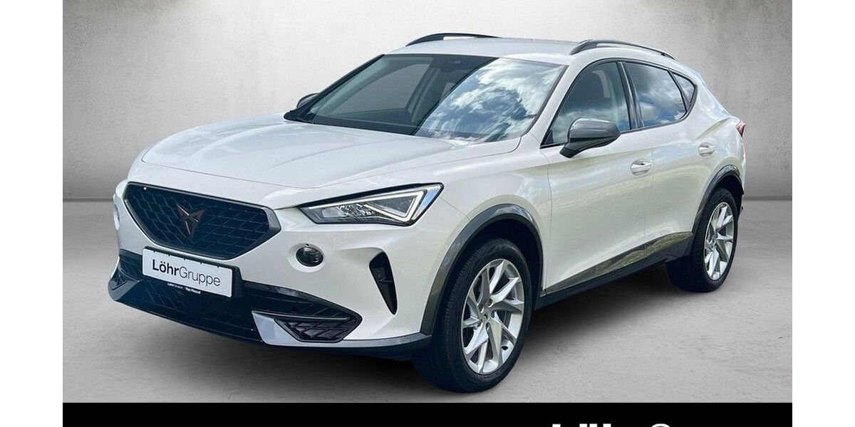 Cupra Formentor 30.746 km 22.480 &euro; Mainz 55120