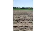 Grundstück Dreieich - 225&euro; | Angebot:26533688