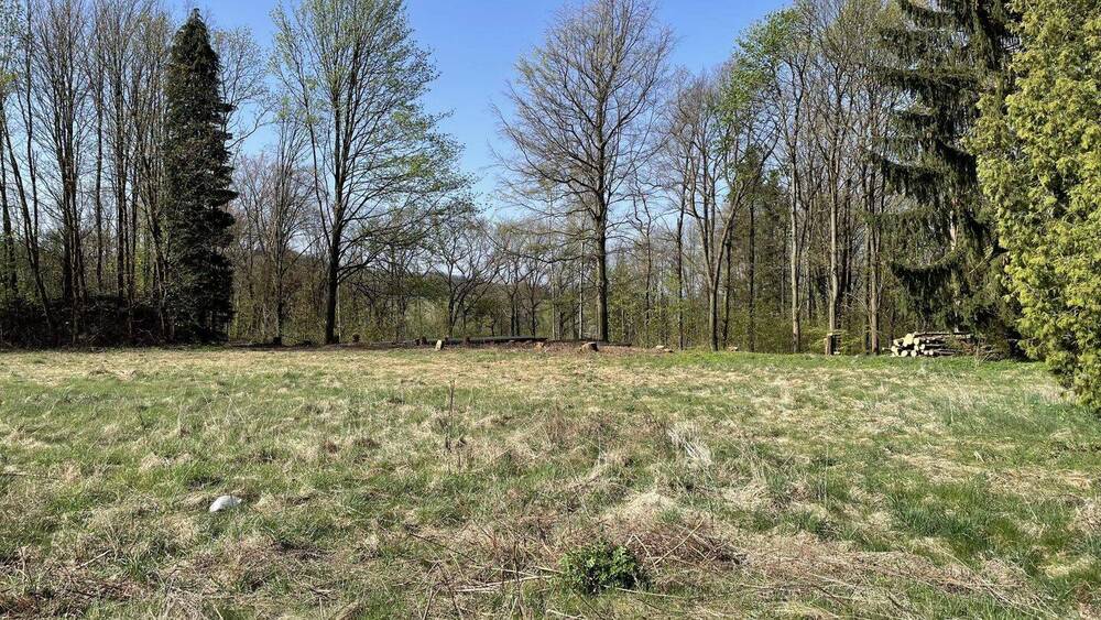 Grundstück Sebnitz - 60.500&euro; | Angebot:25749421