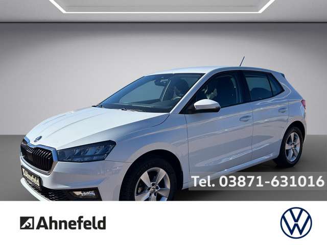 Skoda Fabia 16.950 km 14.950 &euro; Schwerin 19061