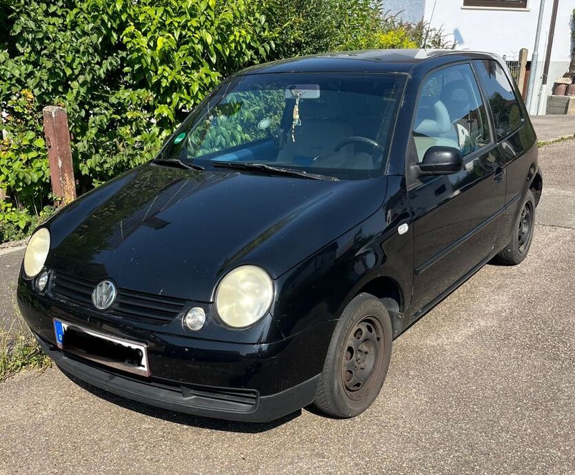 Lupo