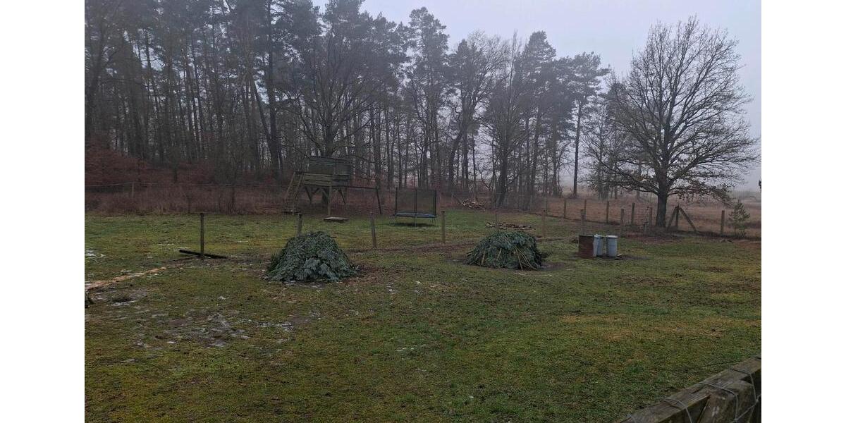 Bauernhaus, Landhaus Märkisch Linden - 14 Zimmer, 210 m&sup2;, 590.000&euro; | Angebot:24559540