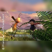 Das Geheimnis der Bäume 17.01.2026 Planetarium Frankfurt