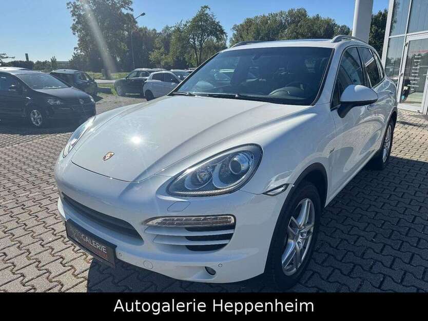 Cayenne