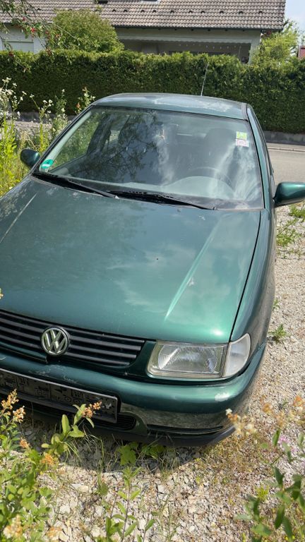 Polo