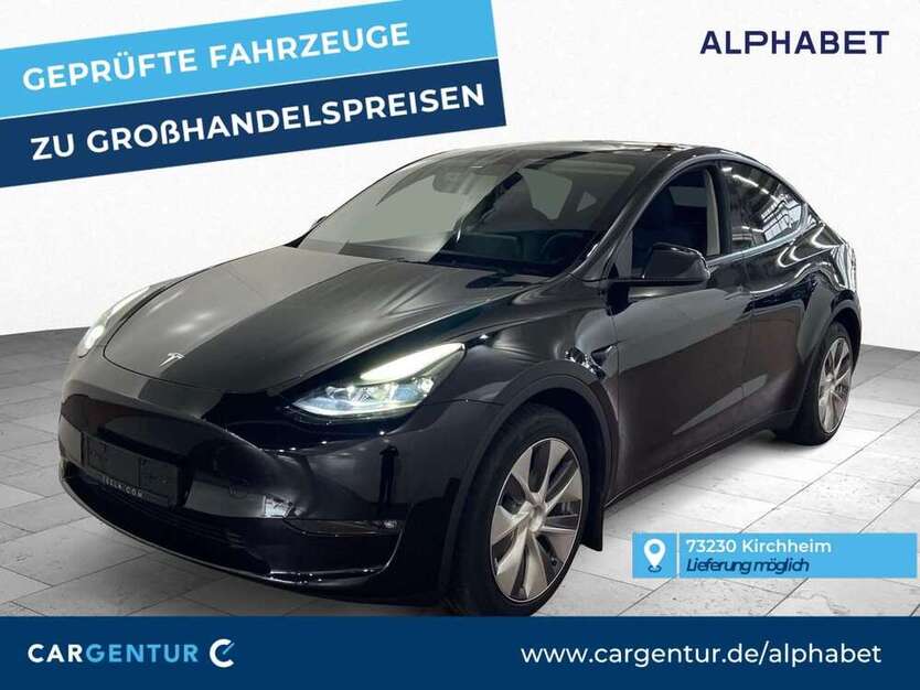 Model Y