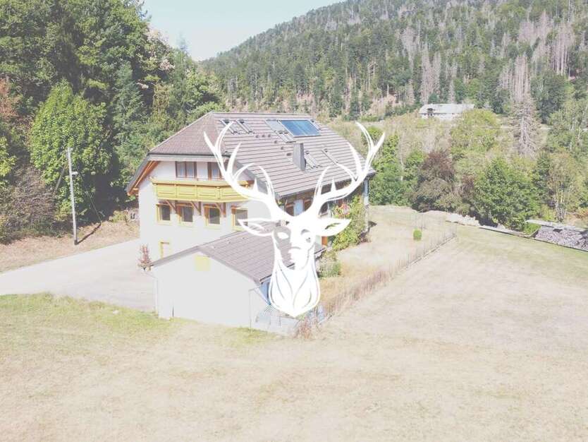 Haus zum Kaufen in Schlageten 440.000 € 302 m²