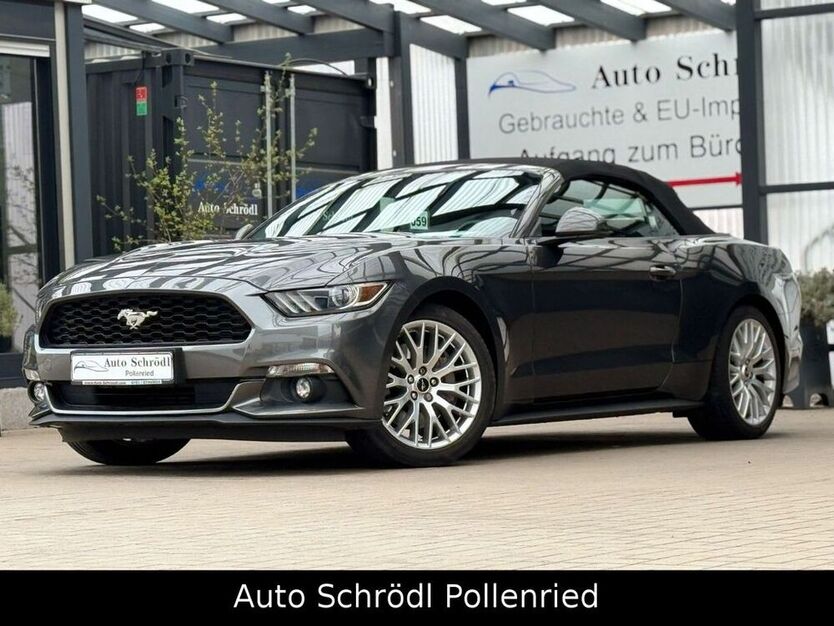 Mustang