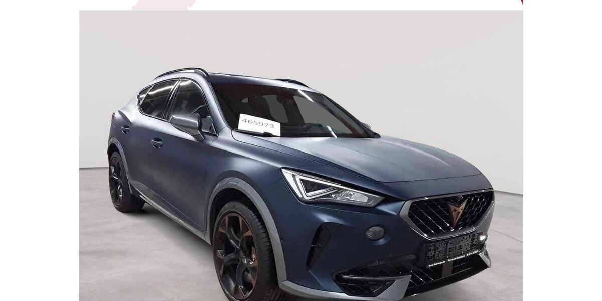 Cupra Formentor 155.806 km 21.989 &euro; Fernwald-Steinbach 35463