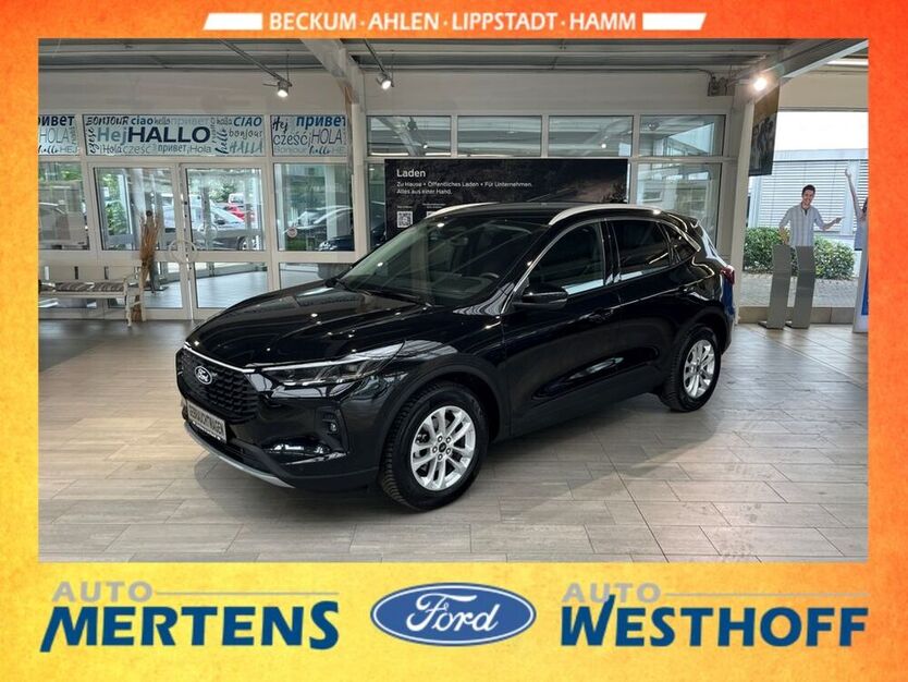 Kuga