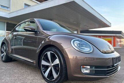 VW Beetle