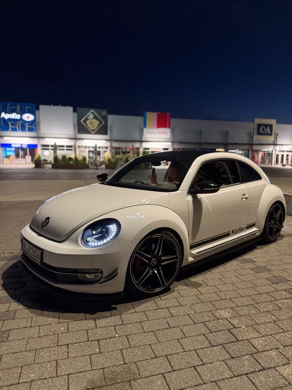 Beetle