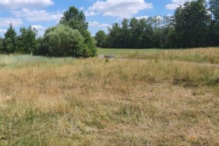 Bauplatz in 97688 Bad Kissingen-Albertshausen (ID 1028) - Grundstück Bad Kissingen Bad Kissingen | Angebot:25274732