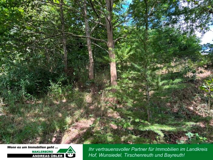 Grundstück Hohenberg an der Eger Neuhaus - 15.000&euro; | Angebot:22328512