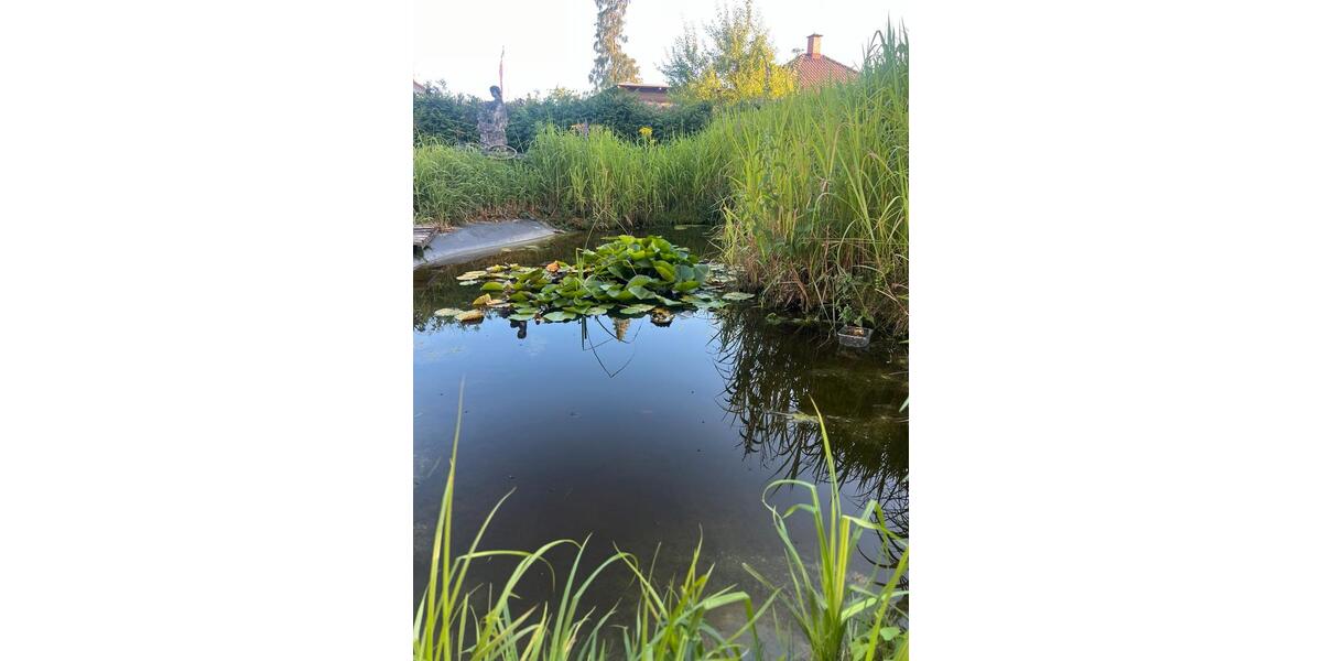 Mehrfamilienhaus, Wohnhaus Grenzach-Wyhlen Wyhlen - 11 Zimmer, 250 m&sup2;, 875.000&euro; | Angebot:26314476