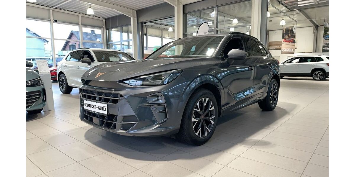 Cupra Terramar 20.770 km 32.890 &euro; Hünxe 46569