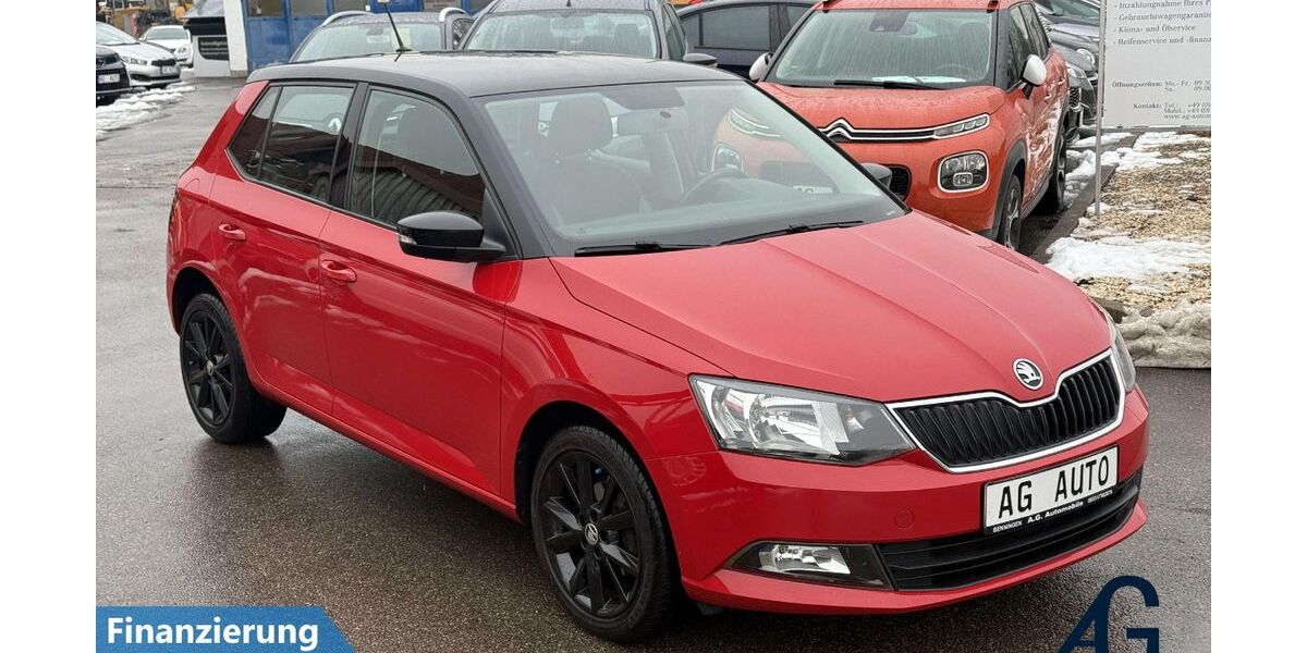 Skoda Fabia 96.040 km 10.700 &euro; Benningen 87734