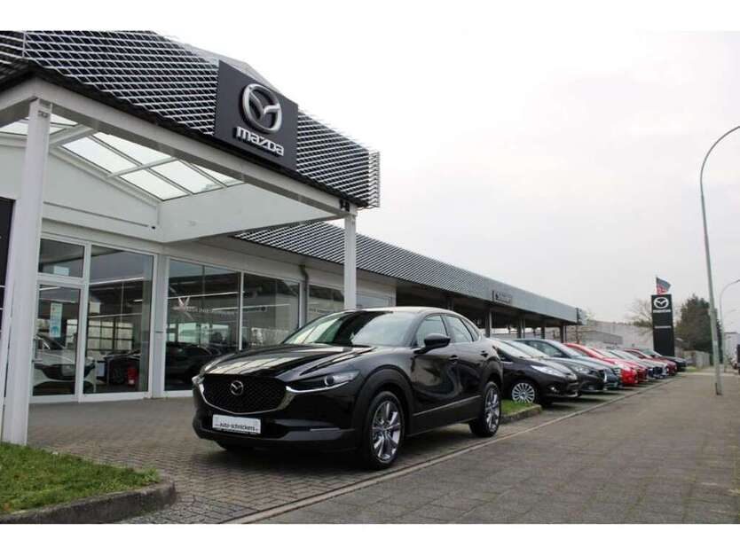 CX-30