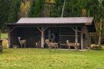 NATURREFUGIUM MIT TEICHANLAGEN UND 2 GEBÄUDEN - Grundstück Kulmain | Angebot:27109387