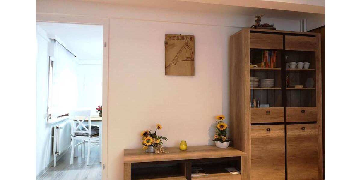 Mehrfamilienhaus, Wohnhaus Winterberg - 5 Zimmer, 150 m&sup2;, 880&euro; | Angebot:26113189