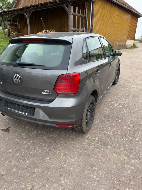 Polo