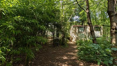 IHRE VISION ZWISCHEN NATUR UND ZUKUNFT - Grundstück Bötersen | Angebot:27456573