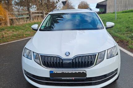 Skoda Octavia 243.000 km 6.900 &euro; Springe 31832