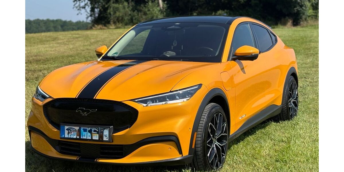 Ford Mustang Mach-E 62.500 km 29.100 &euro; Grenzach-Wyhlen 79639