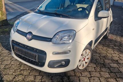 Fiat Panda 137.500 km 4.300 &euro; Herzebrock .- Clarholz 33442