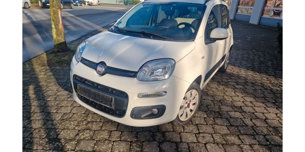 Fiat Panda 137.500 km 4.300 &euro; Herzebrock .- Clarholz 33442