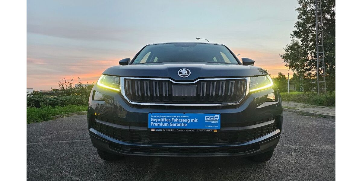 Skoda Kodiaq 119.250 km 26.500 &euro; Stendal 39576