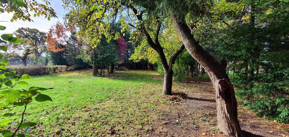 Viel Platz für Ihre Ideen - 2 Häuser * Bürohaus * Ladengeschäft * Wirtschaftsgebäude * 4 Garagen * Wald uvm. - Mehrfamilienhaus, Wohnhaus Arendsee (Altmark) Fleetmark | Angebot:25536497